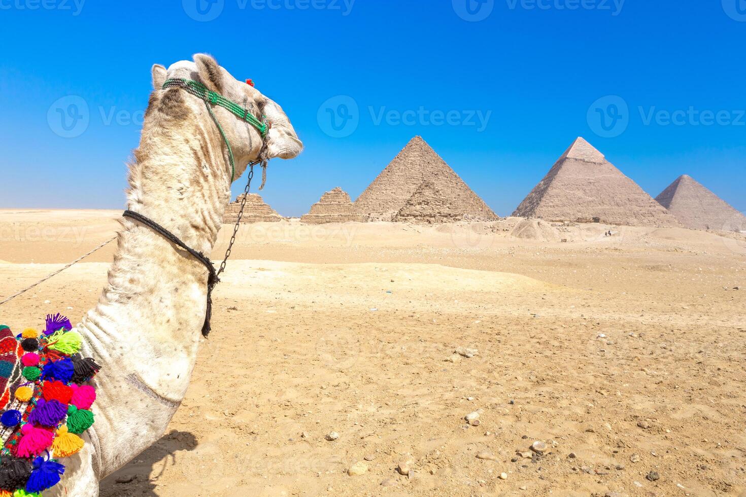 The pyramids at Giza in Egypt photo