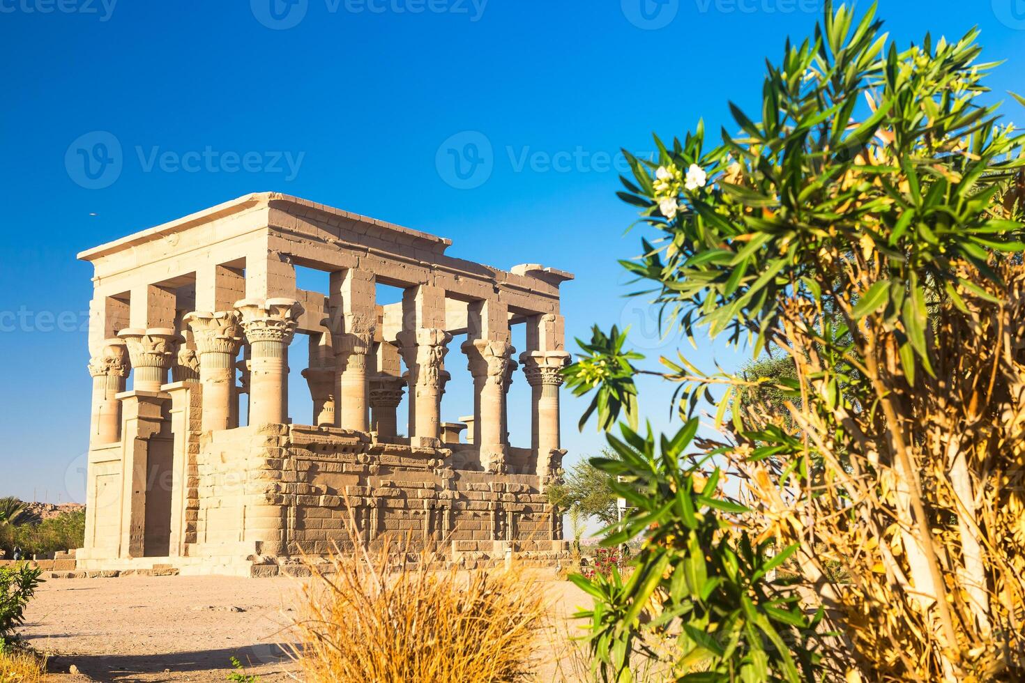Philae temple in aswan on the Nile in Egypt photo