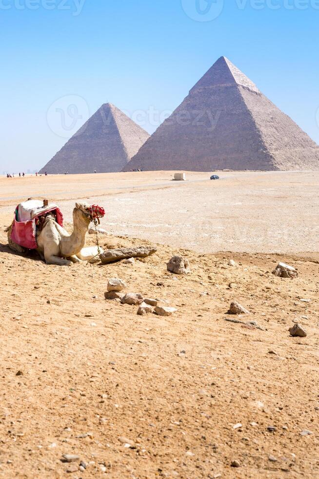 The pyramids at Giza in Egypt photo