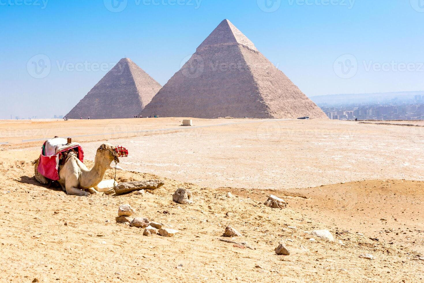 The pyramids at Giza in Egypt photo