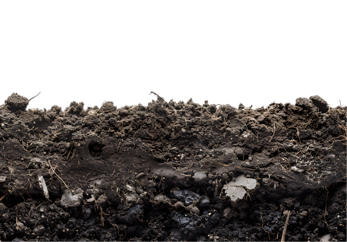 Soil texture on a transparent background png