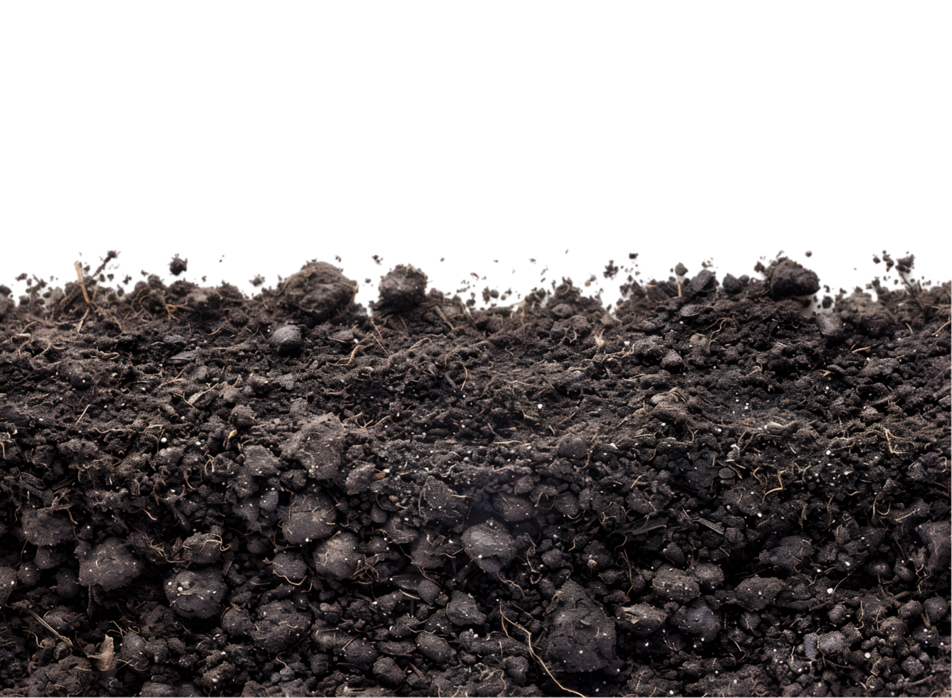 Dark soil texture on a transparent background png