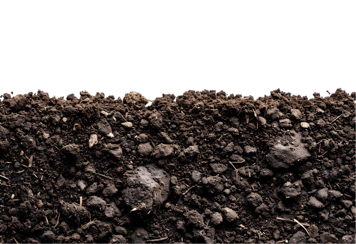 Soil texture on a transparent background png