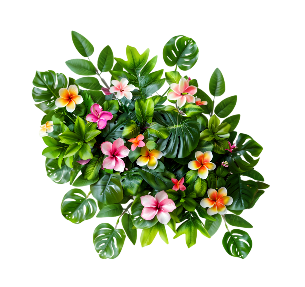 Tropical flower arrangement isolated on a transparent background png