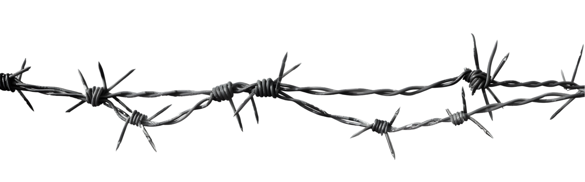 Barbed wire strand isolated on a transparent background png