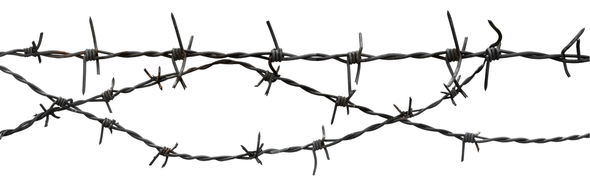 Barbed wire strand isolated on a transparent background png