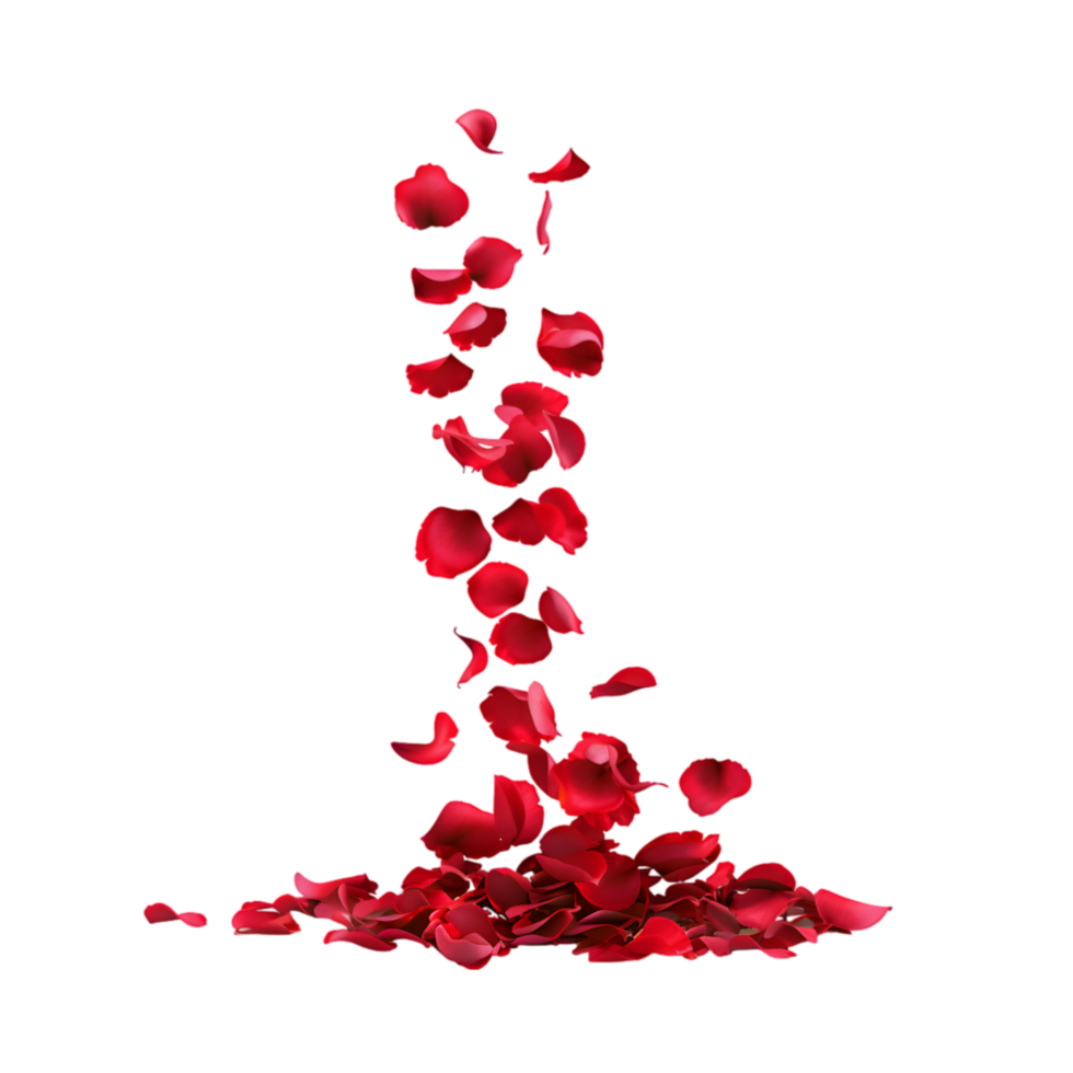 Red rose petals falling isolated on a transparent background png