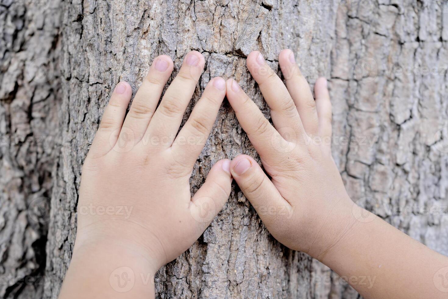 The child's hand is touching the tree. photo