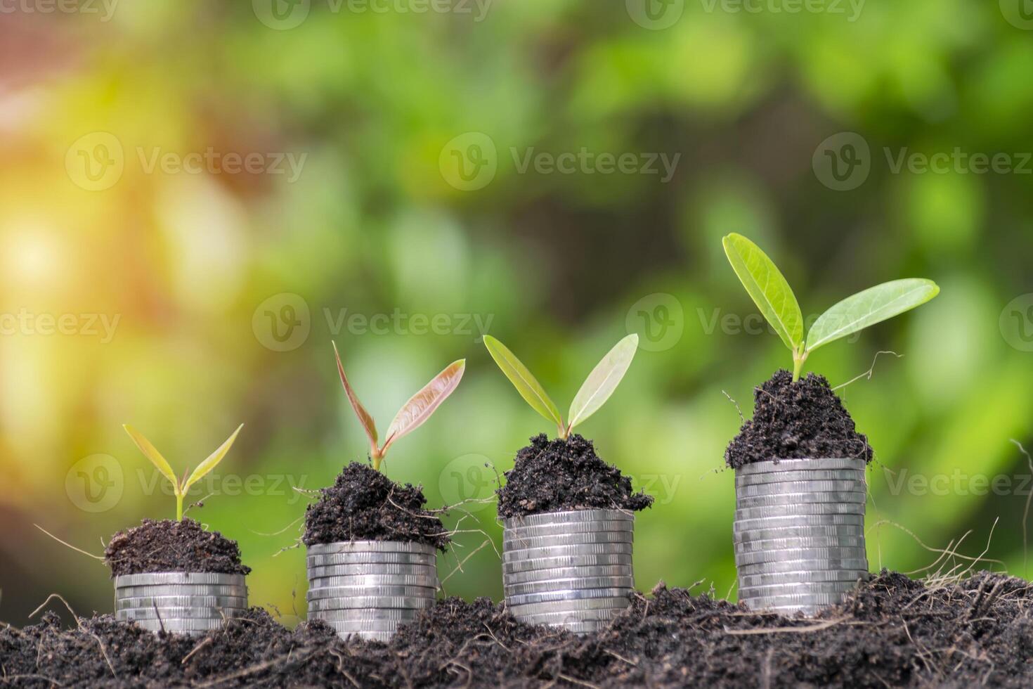 Business growth concept. Financial growth is the business sector needs. photo