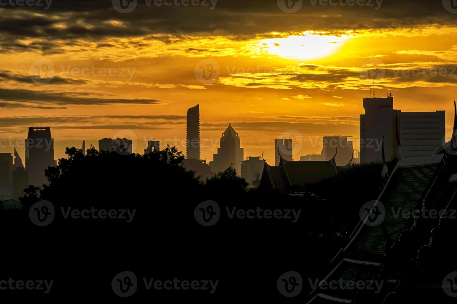 Fiery Sunset with Tree Silhouette. Capital city, high building. photo