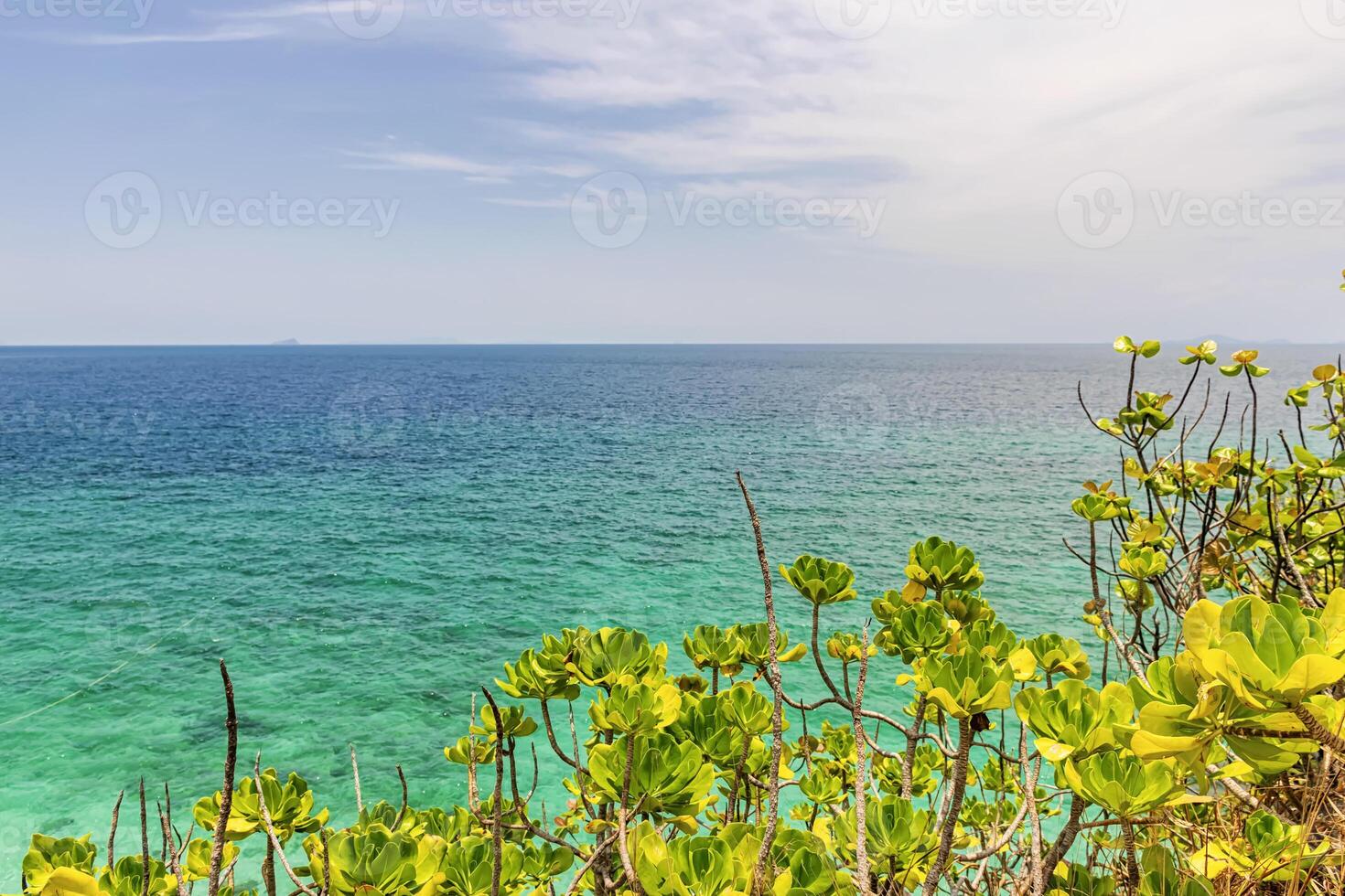 The beautiful sea, The front is a tree on the island in the sea. photo