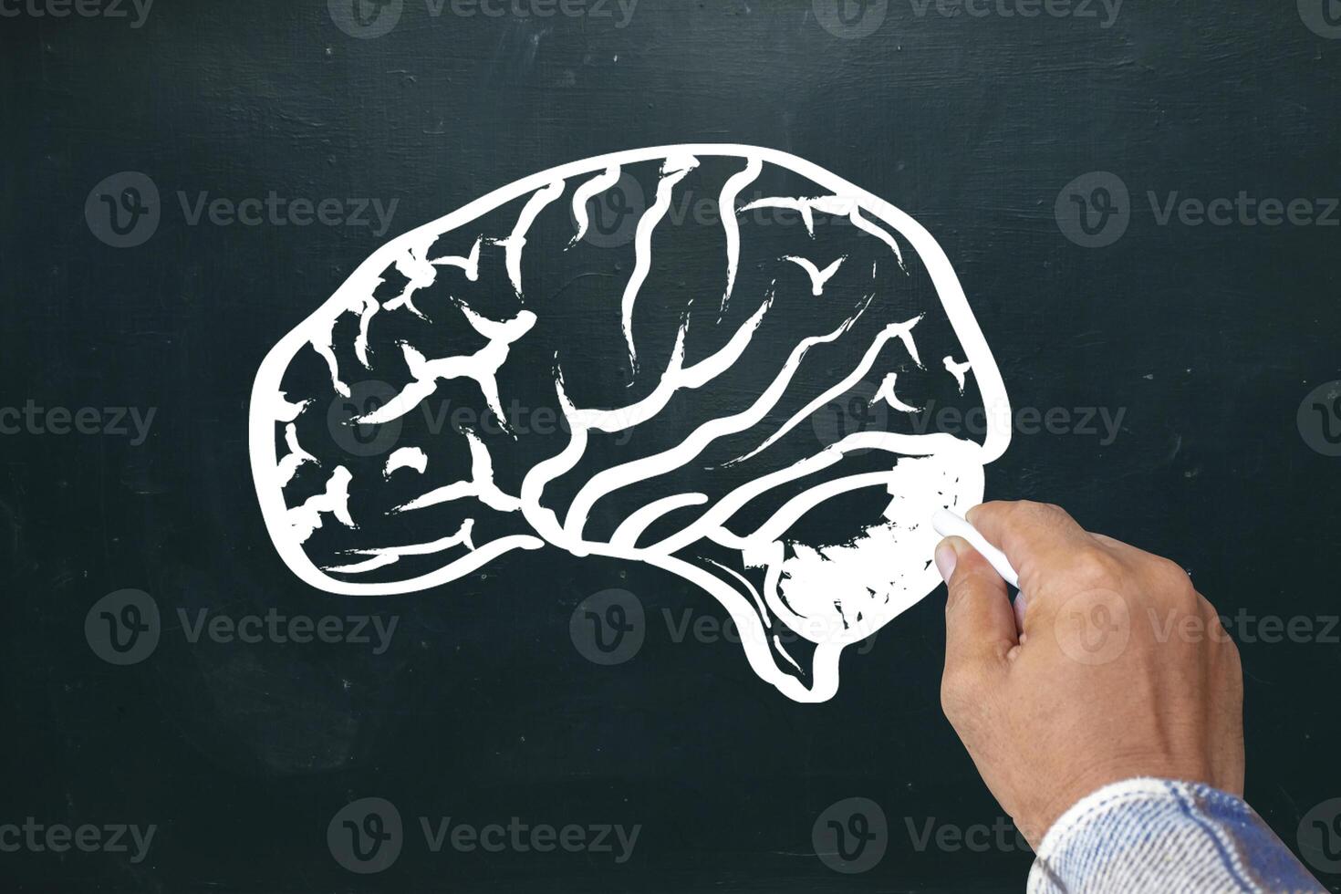 Hand drawing brain sketch on blackboard. Brainstorming and idea concept photo