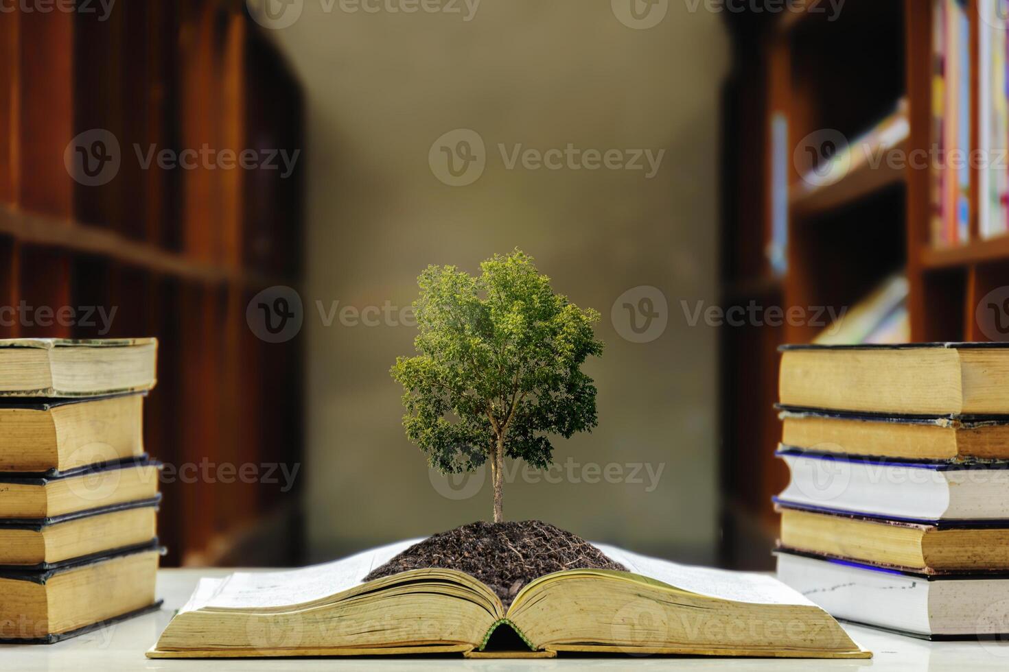 Increase intelligence, the Big tree is growing. photo