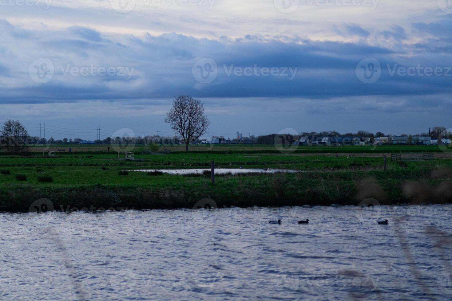 landscape with a clear blue sky photo