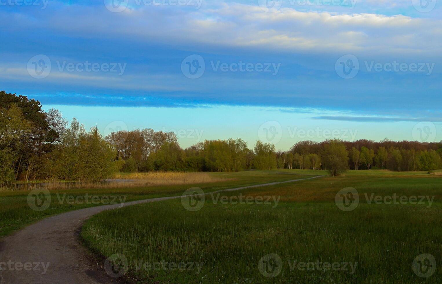 country road with clear blue sky photo