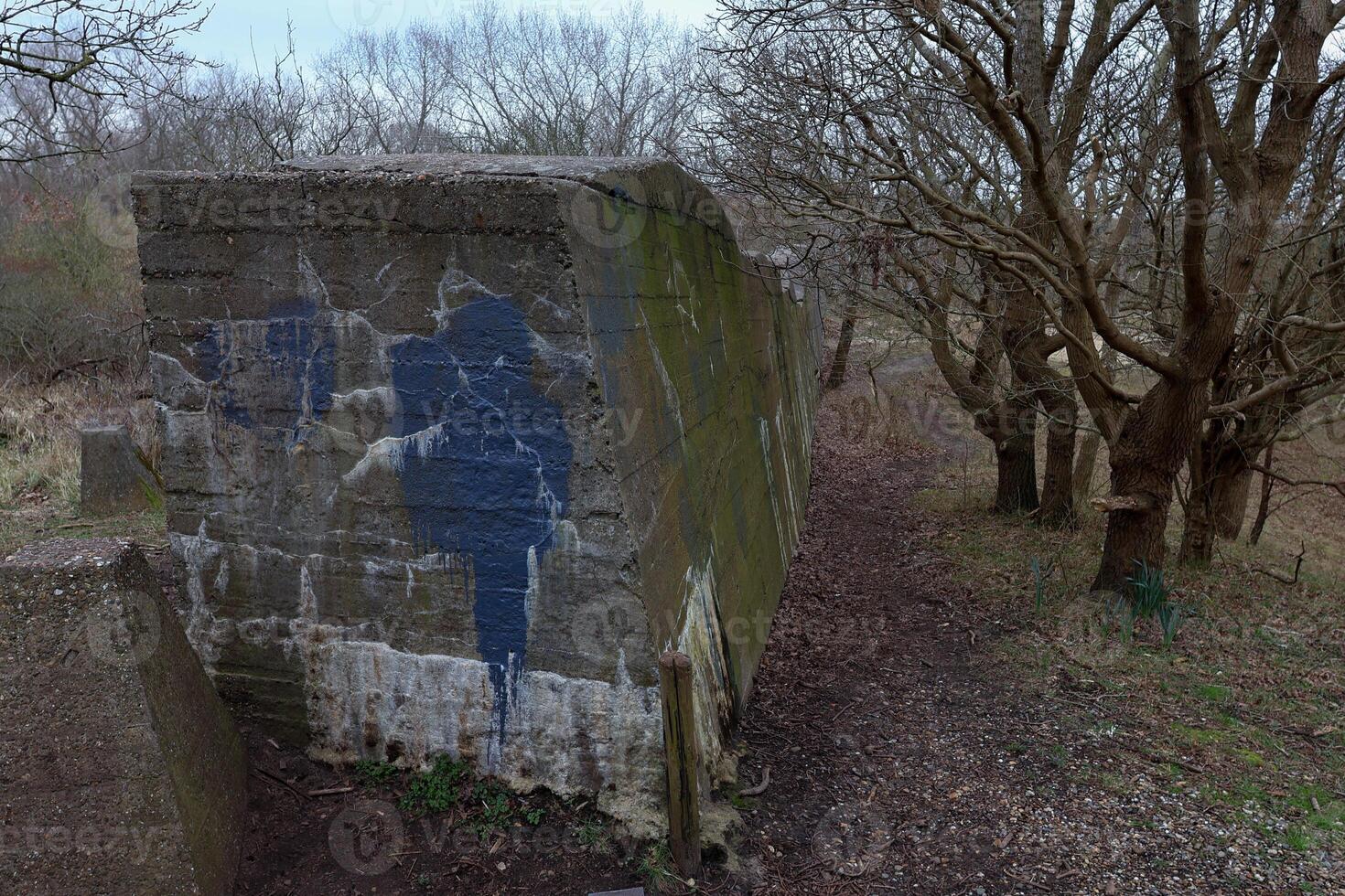 remains of an anti tank wall in panbos holland photo