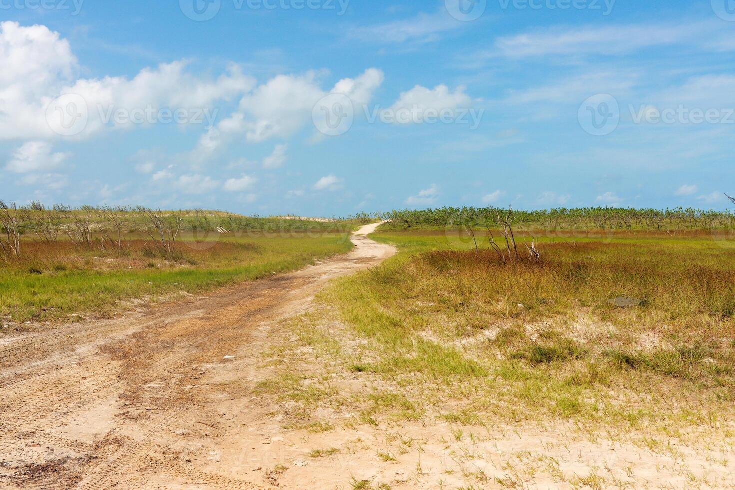 Sandy Dirt trail that starts on the Praia da Restinga and goes to Baia Formosa, in the State of Rio Grande do Norte in Brazil photo