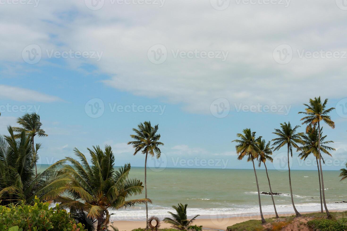 Coconut trees in the foreground at Coqueirinho Beach in Conde, Paraiba, Brazil photo