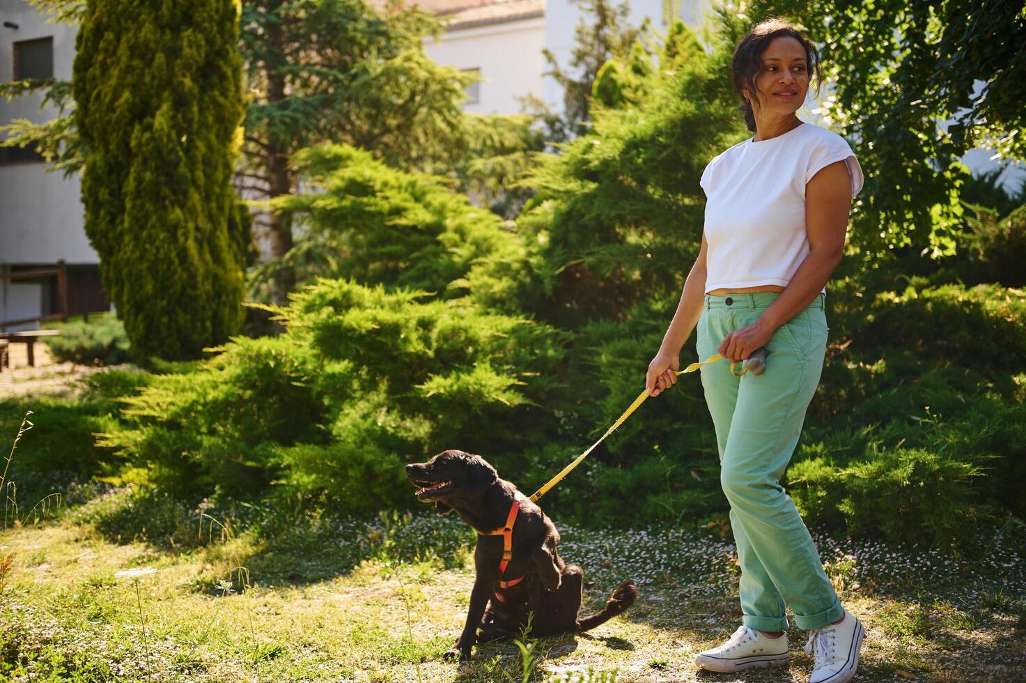 Woman enjoying a sunny day while walking her dog in a park photo