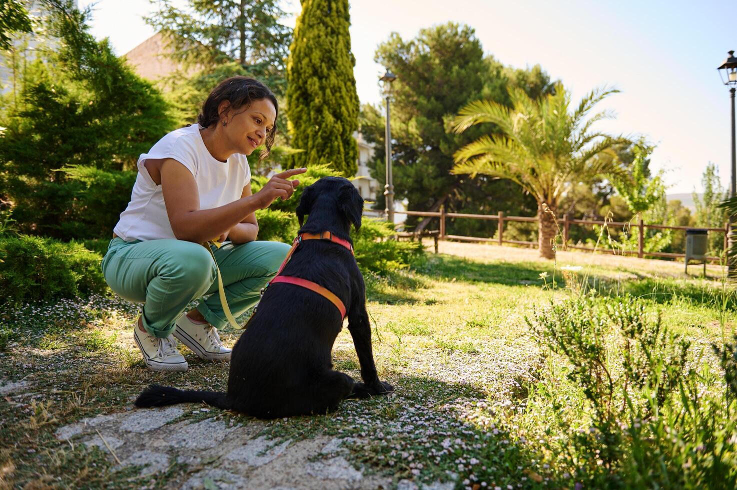 Woman bonding with her black dog in a sunny park photo