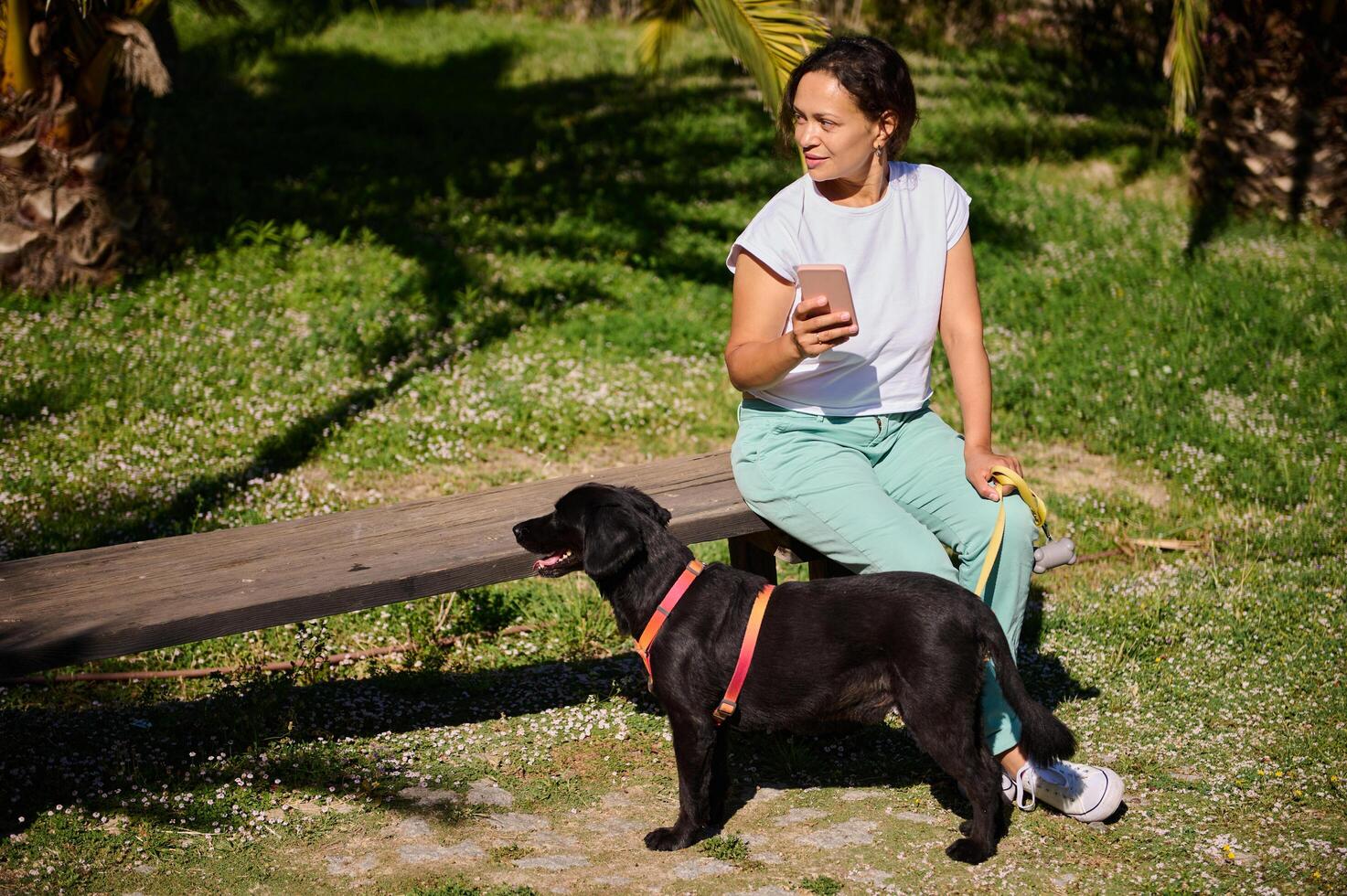 Woman sitting on a bench with her dog in the park on a sunny day while using a smartphone photo