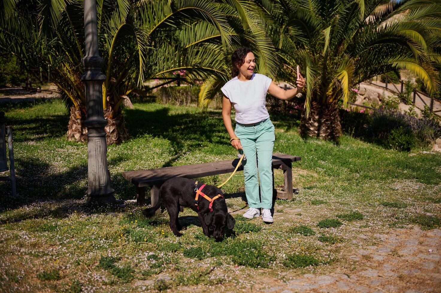 Woman taking a selfie with her dog in a sunny park on a beautiful day photo