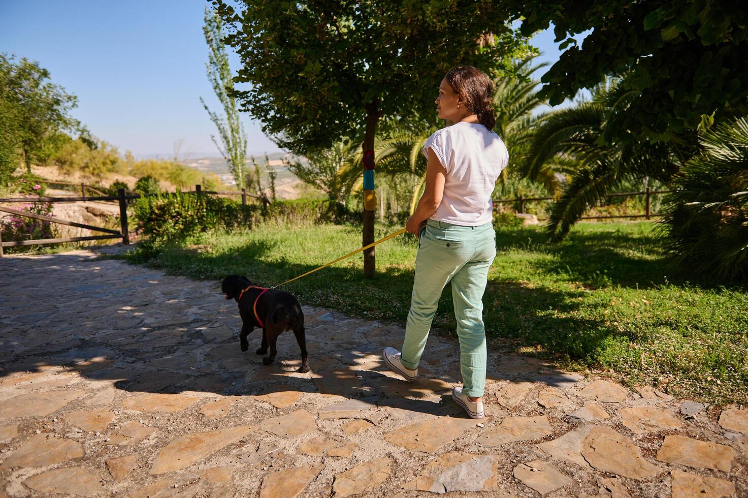 Woman walking her dog on a sunny day in a beautiful park photo