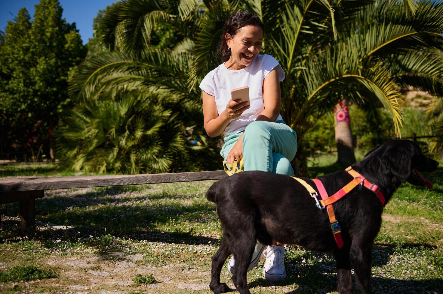 Woman enjoying a sunny day in the park with her dog while using a smartphone photo
