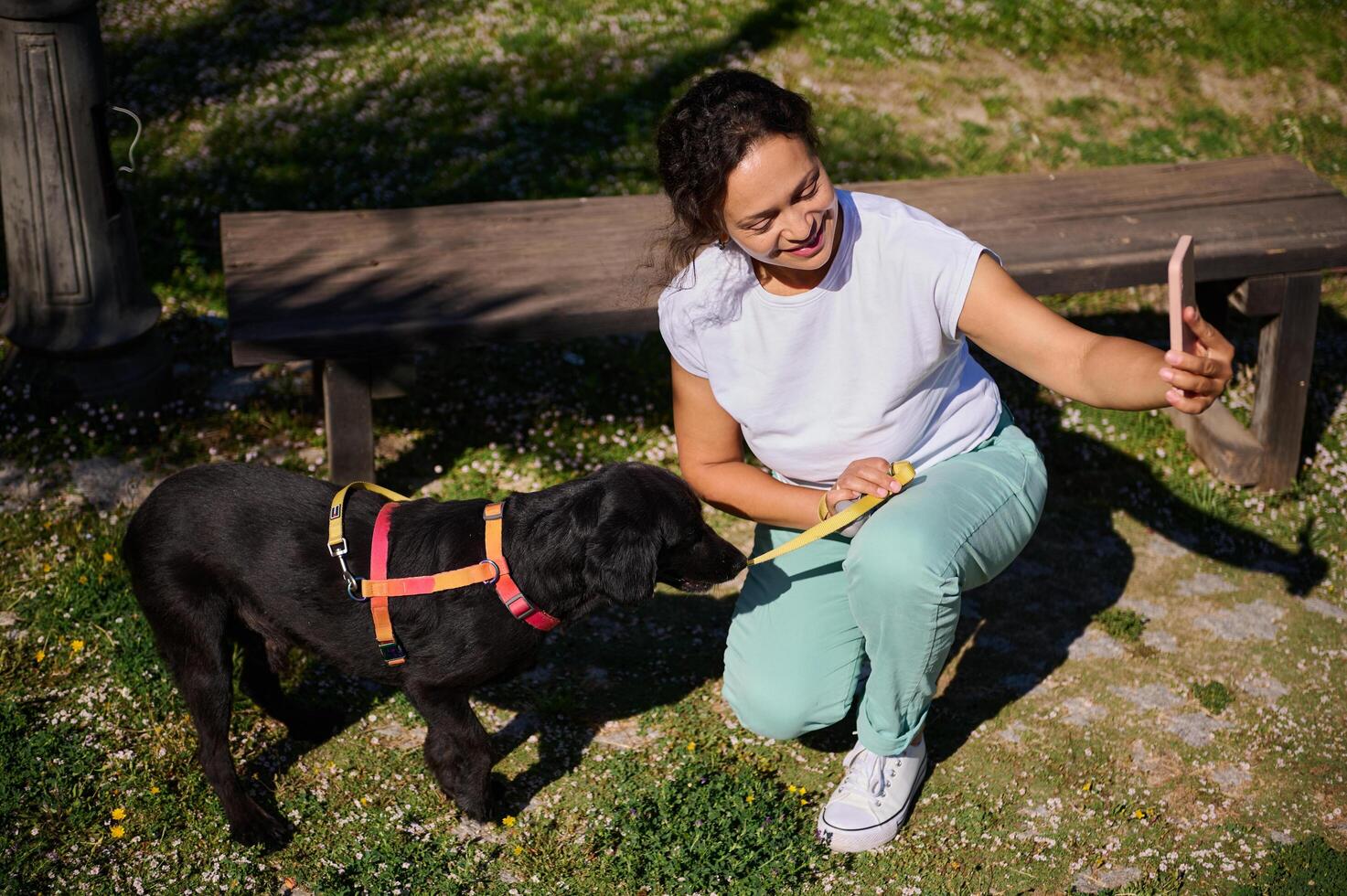Woman taking selfie with her dog in park on sunny day showing happiness and companionship photo