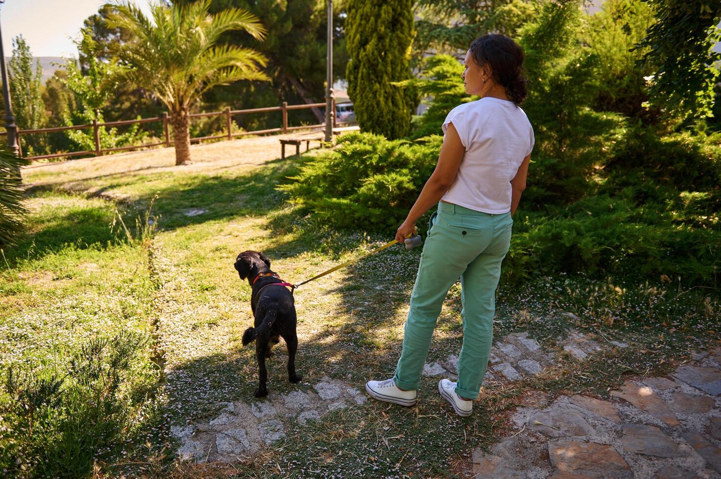 Woman walking dog in sunny park on a summer day photo