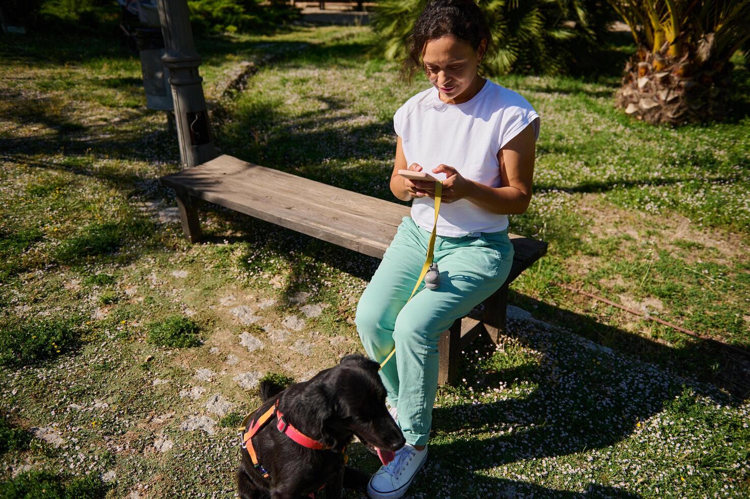 Woman sitting on a bench using her phone while her dog stands nearby in a park on a sunny day photo