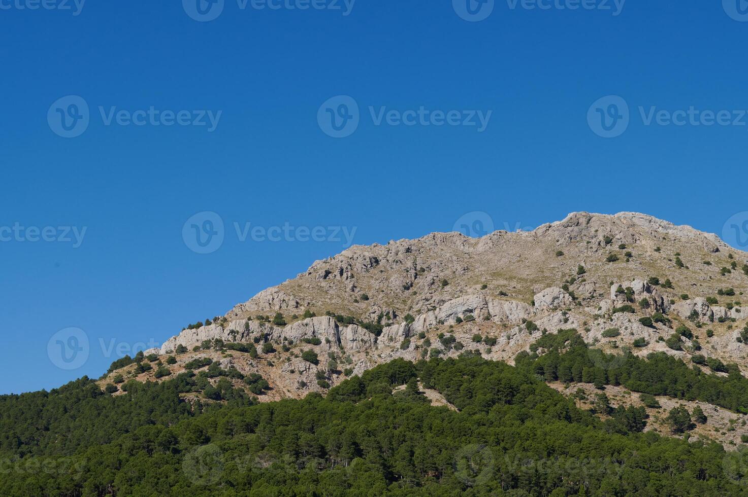 Scenic mountain view with clear blue sky and lush green trees photo