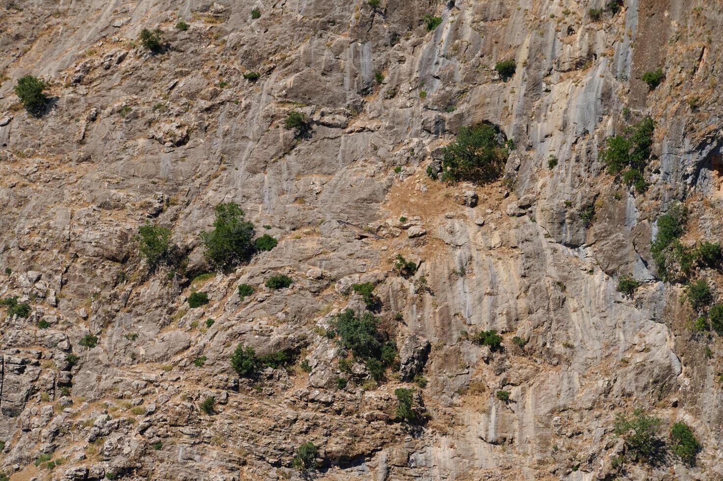 Rocky cliffside with sparse green vegetation under clear sky showing rugged natural landscape photo