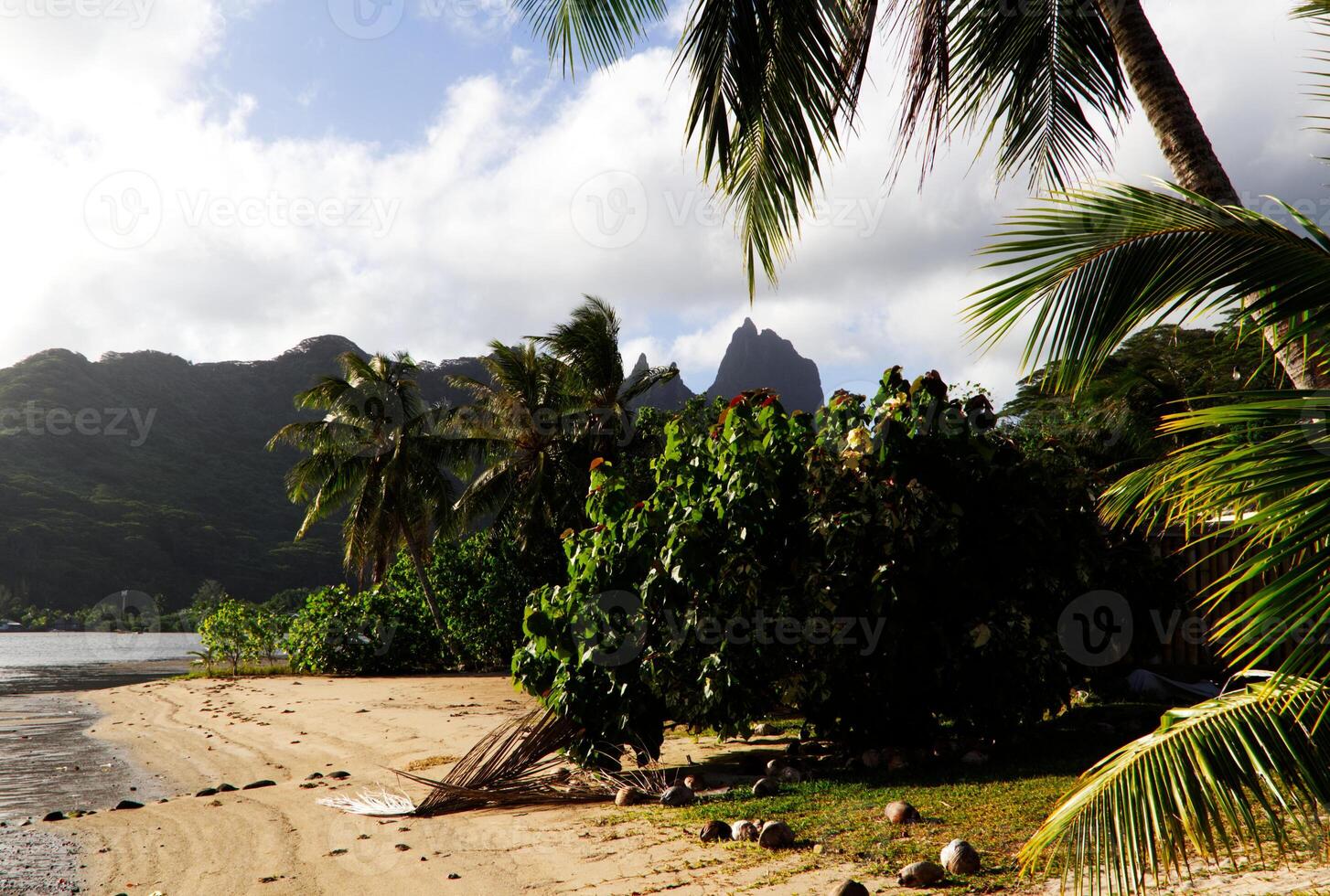 Tropical Beach With Coconut Trees Mountains And Clouds photo