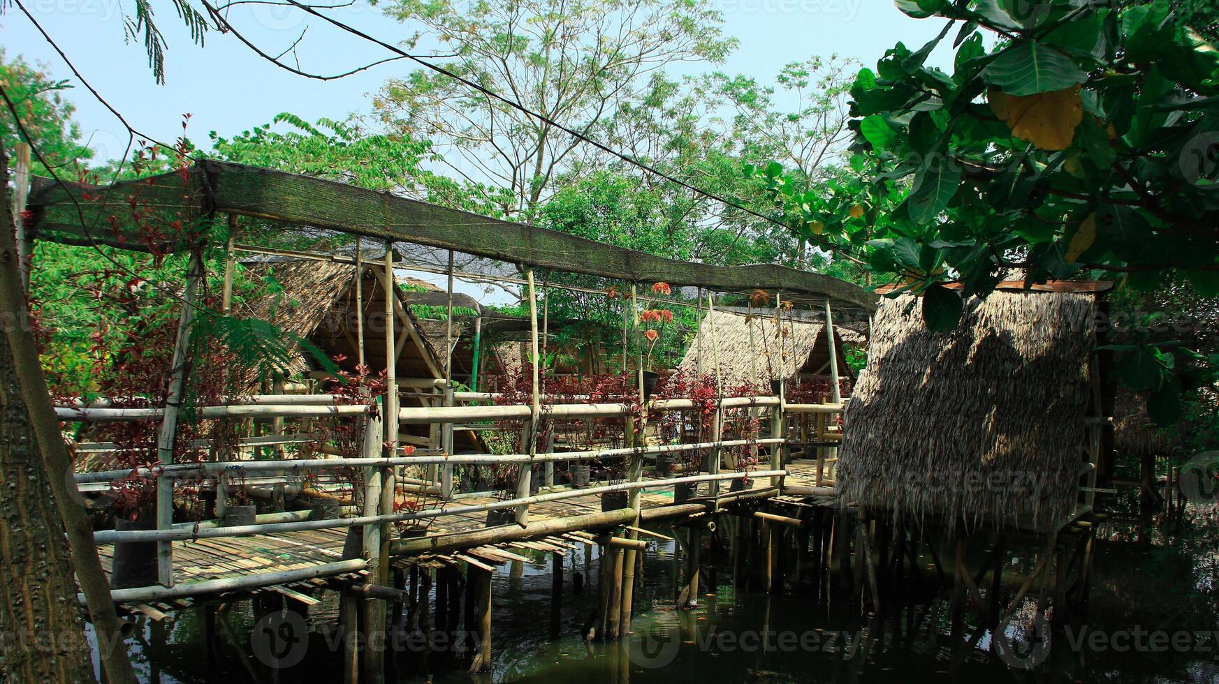 A traditional Indonesian hut made of sago leaf roof stands firmly above the pond photo