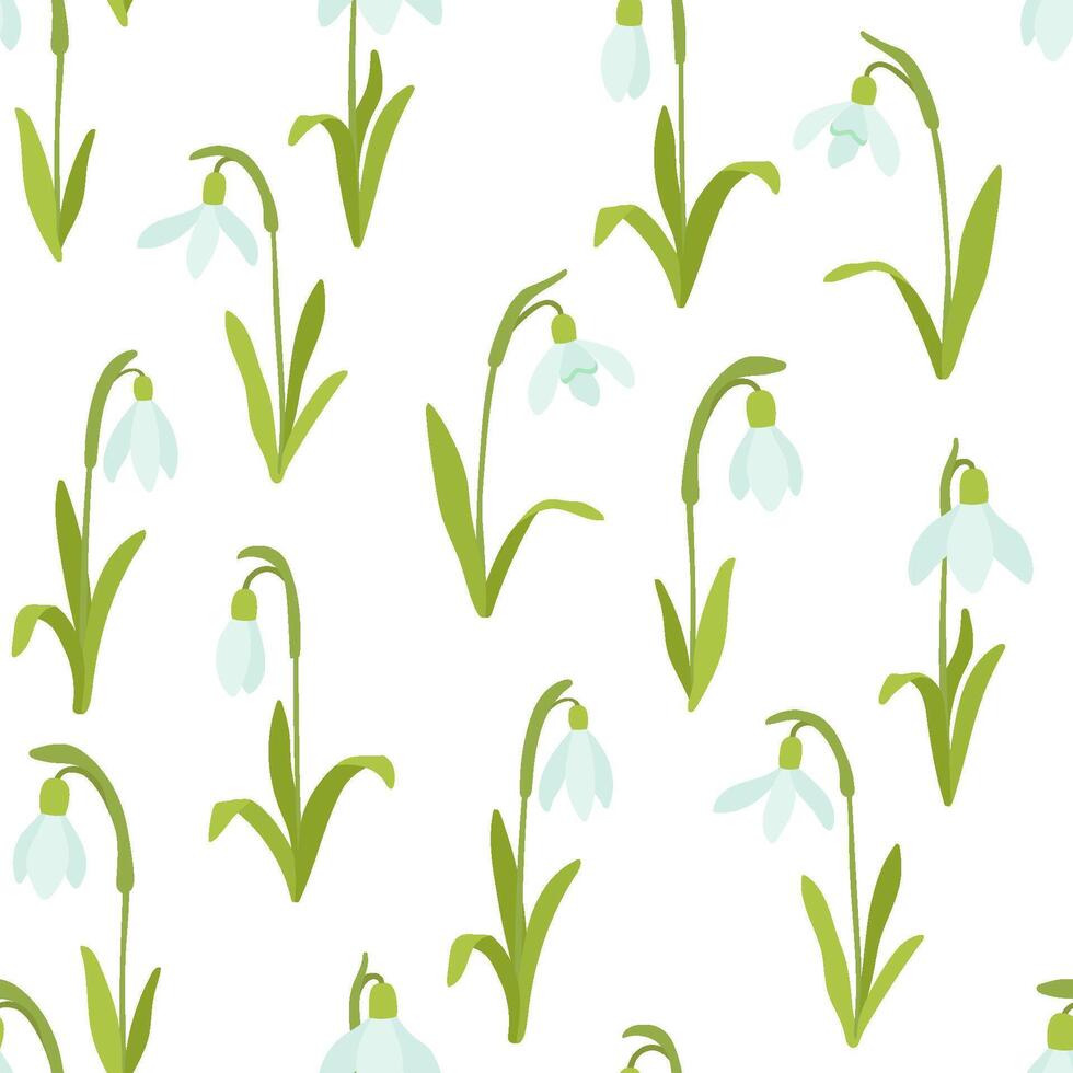 Seamless floral hand drawn pattern with flower snowdrop on white background vector