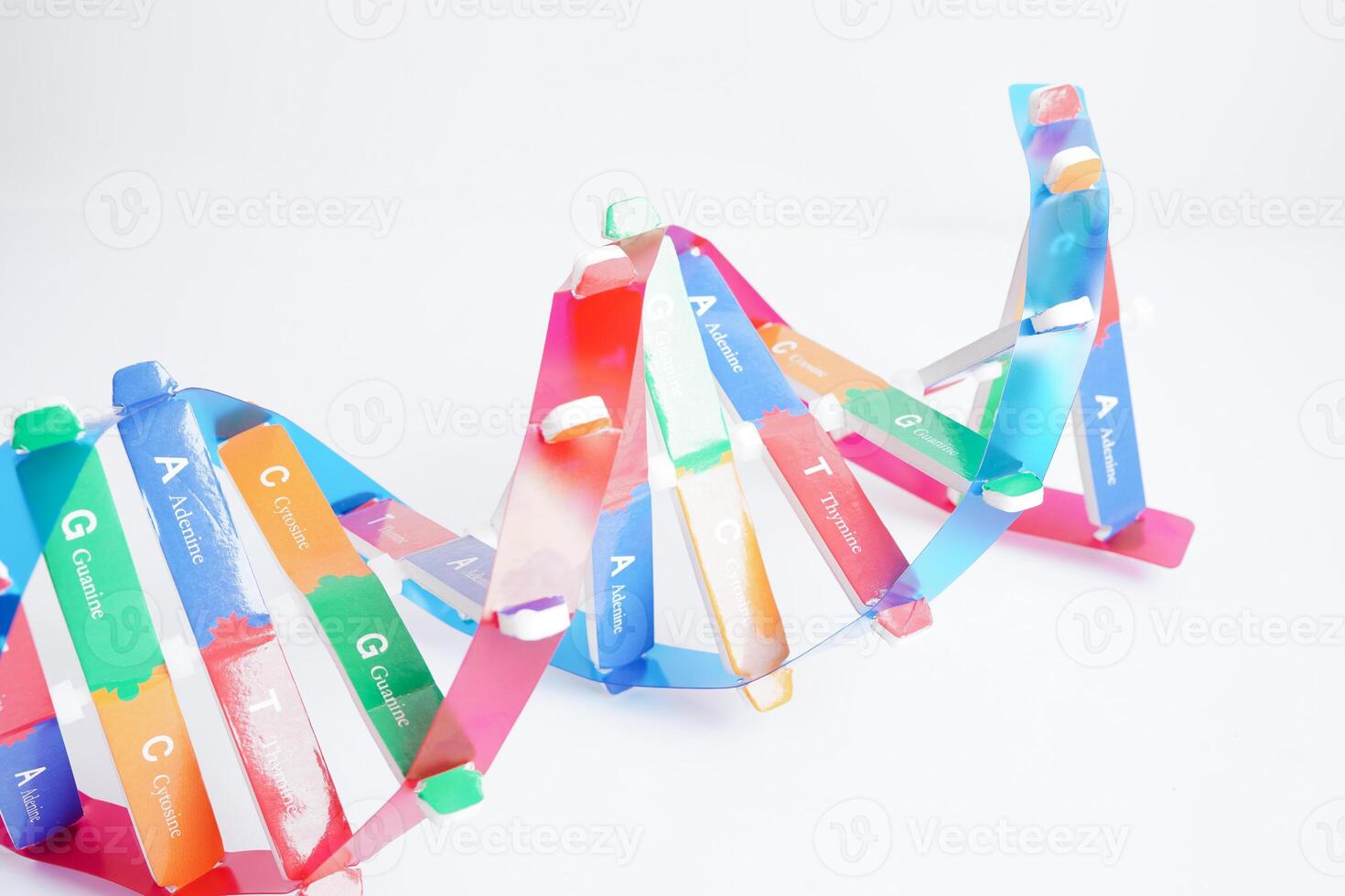 DNA molecule spiral structure model isolated on white background, chromosome and gene chemical science biology. photo
