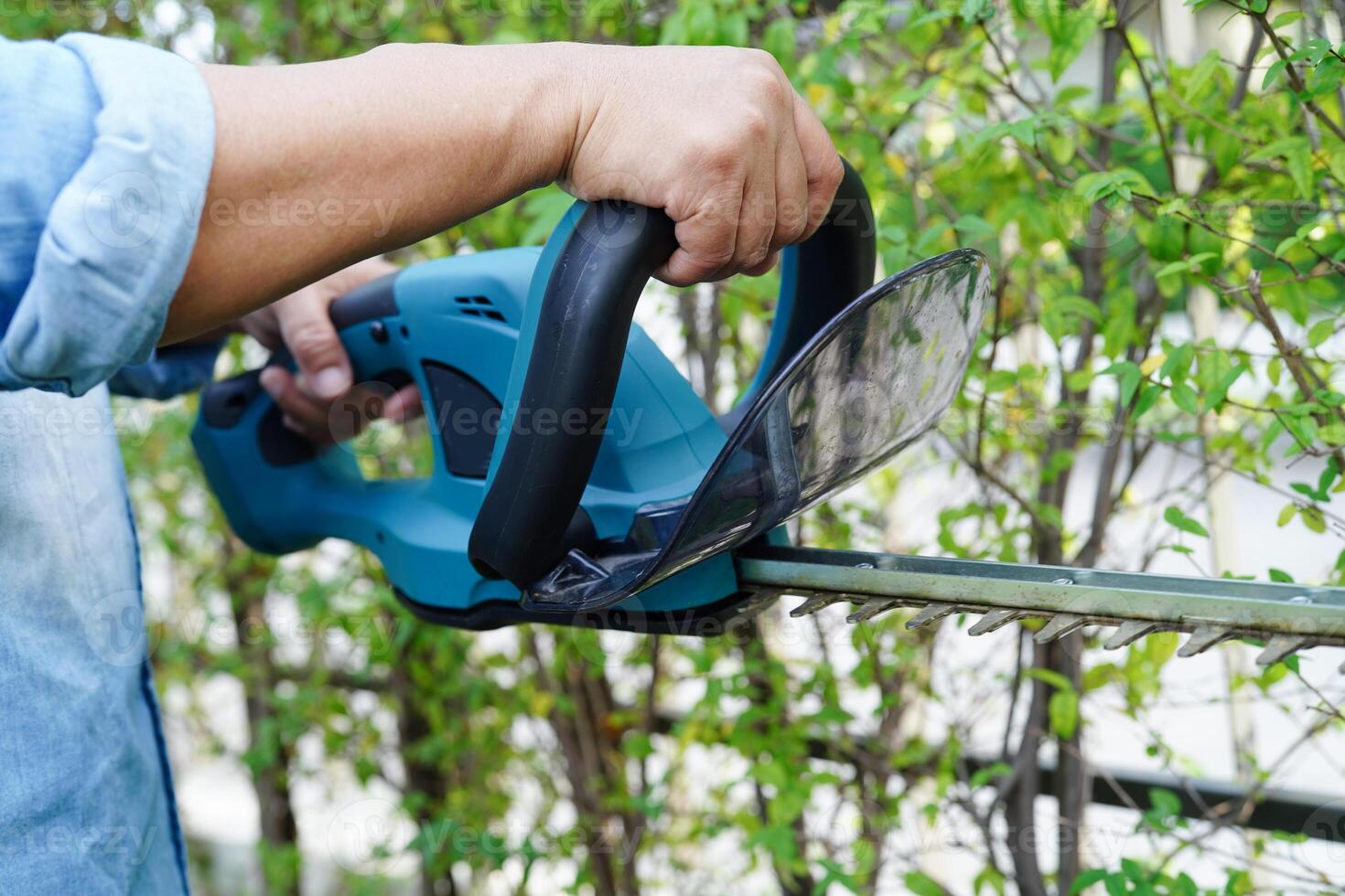 Gardener trimming bush by electric hedge clippers in garden. Hobby at home. photo