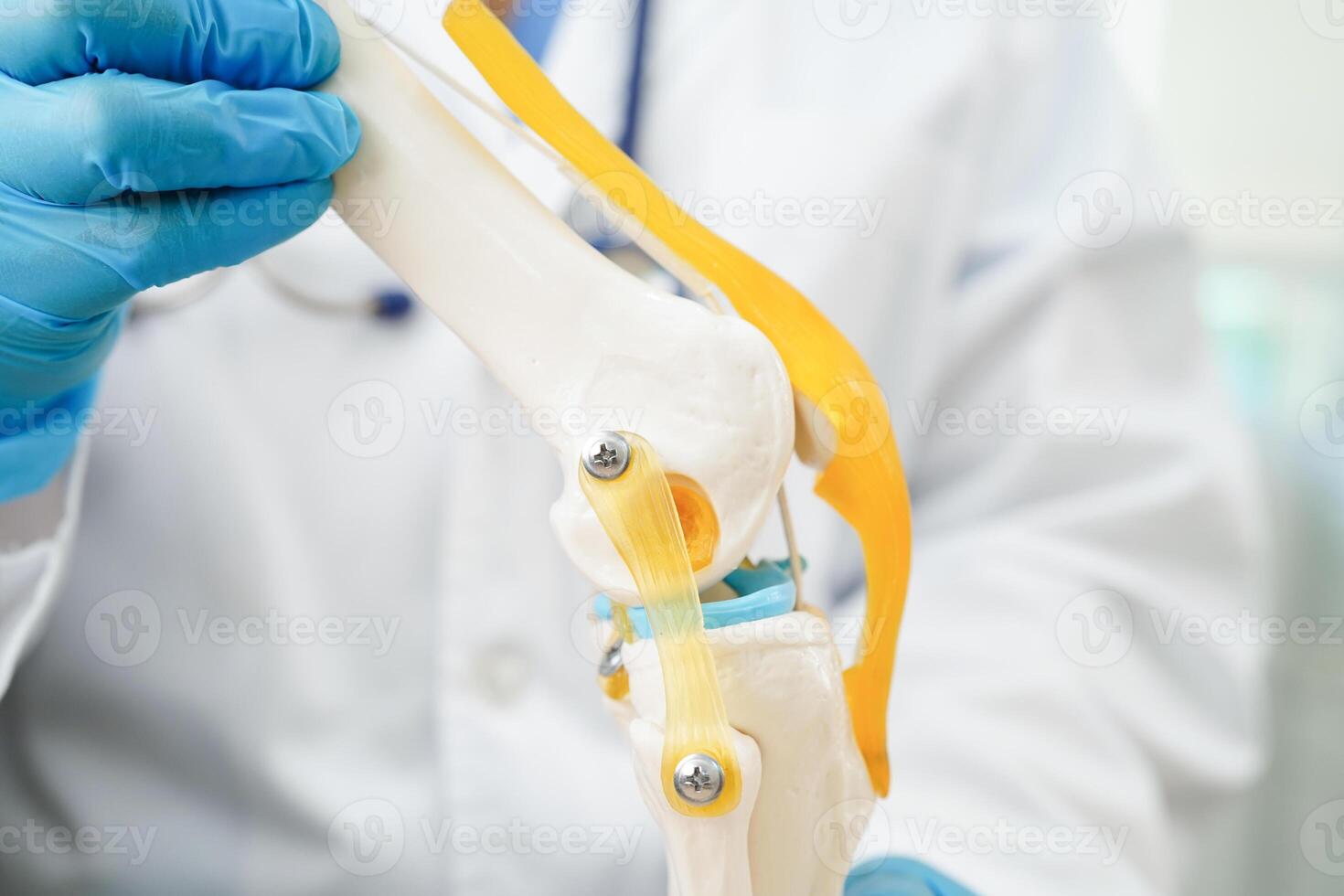 Knee osteoarthritis, Doctor showing model knee joint orthopedic. photo