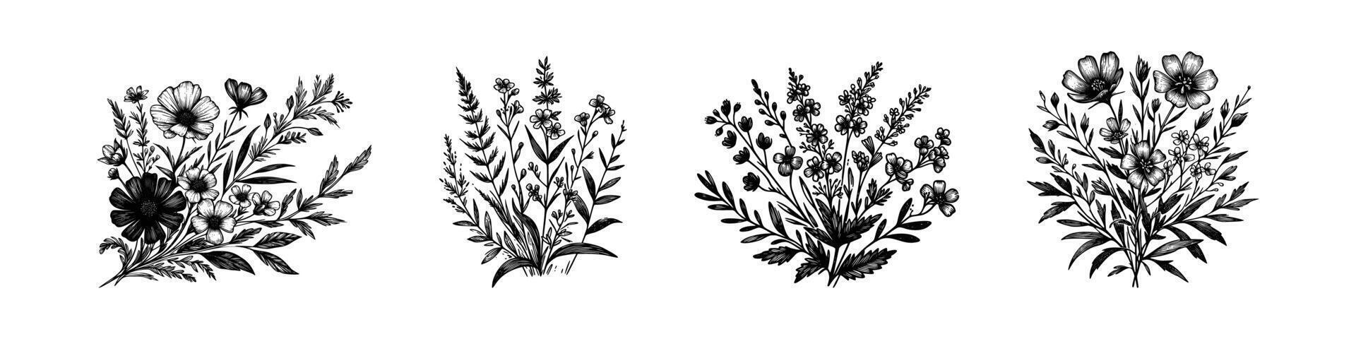 Hand drawn sketch wildflowers set. illustration of medical herbs and flowers, isolated background vector