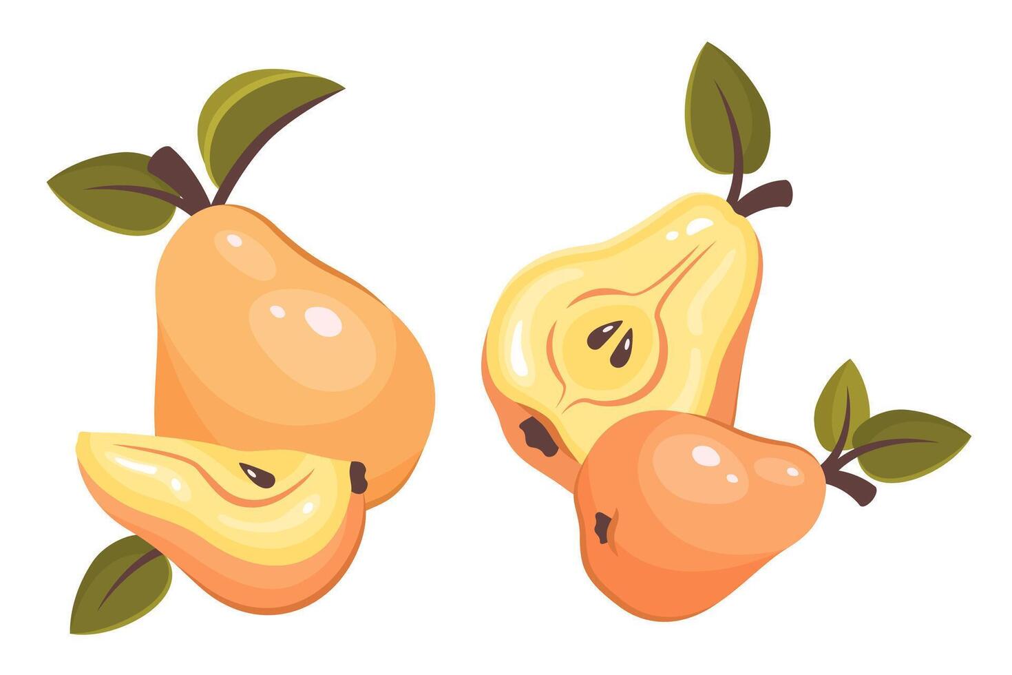 Whole, half and pear slice solated on white background. Fresh ripe fruit with leaves. Pear top view. Healthy vegetarian organic food. illustration for healthy lifestyle and good nutrition vector
