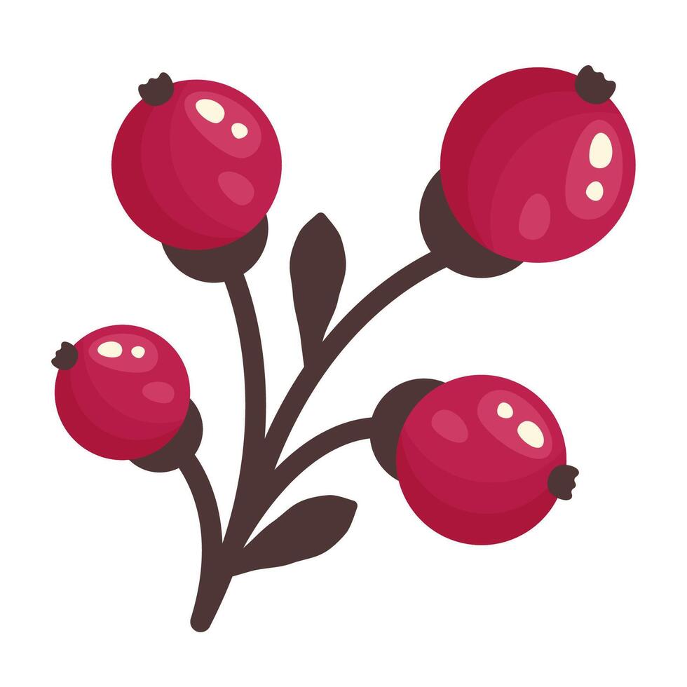 Fresh red currant isolated on white background. Fruit sticker. Currant top view. Whole Juicy berries close up. Organic food. illustration for healthy lifestyle, good nutrition vector
