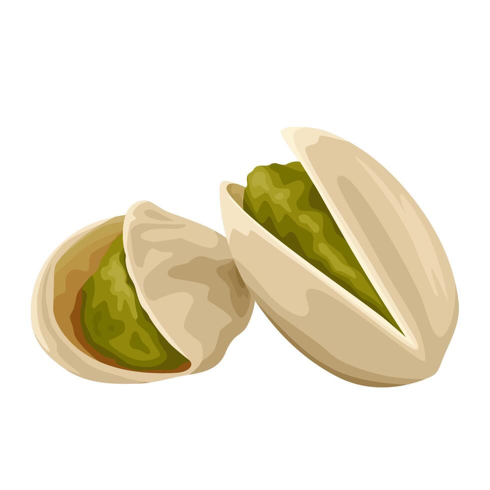 Illustration of pistachio nuts, isolated on white background. vector
