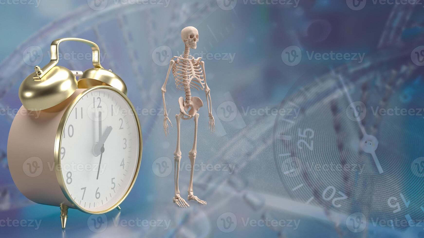 The skeleton and alarm clock for sci or medical concept 3d rendering. photo