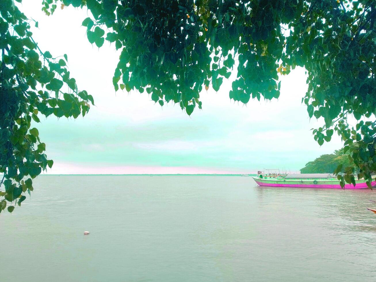 A beautiful landscape view of the hanging branches of trees on the banks of the river photo