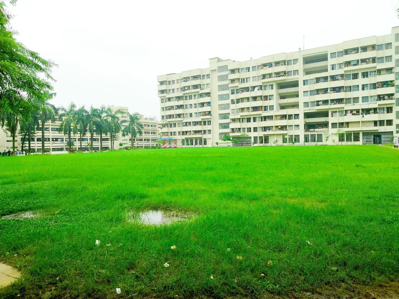 Landscape View of big trees and buildings next to green playground photo