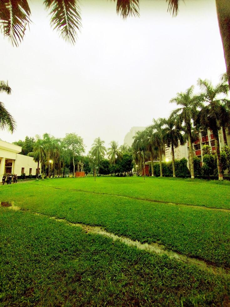 Landscape View of big trees and buildings next to green playground photo