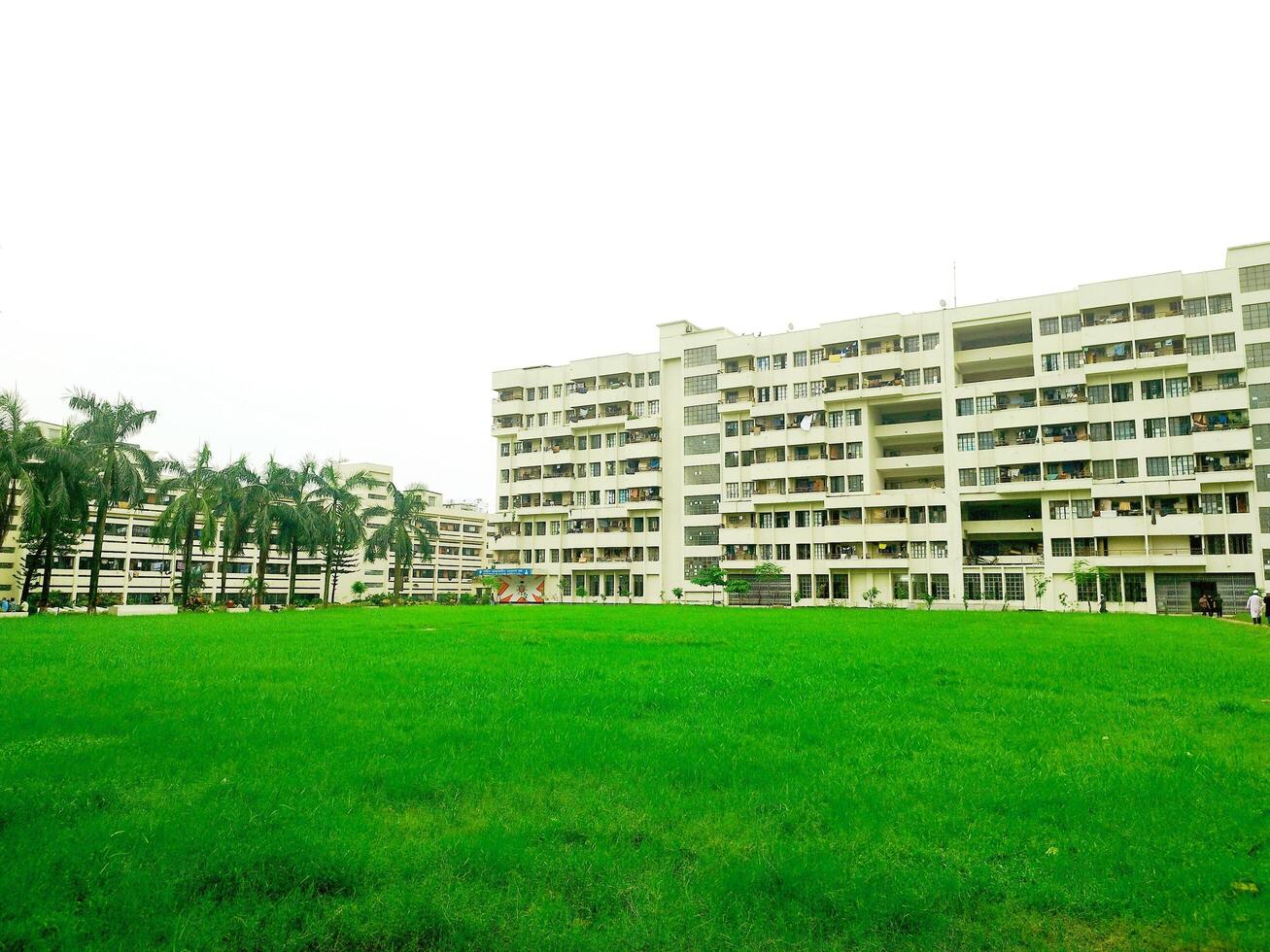 Landscape View of big trees and buildings next to green playground photo