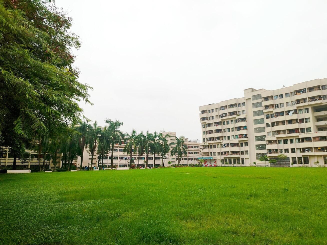 Landscape View of big trees and buildings next to green playground photo