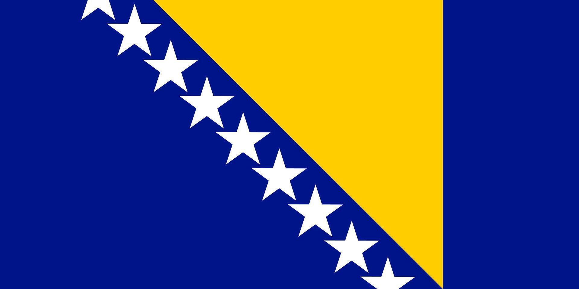 The official national flag of Bosnia and Herzegovina vector